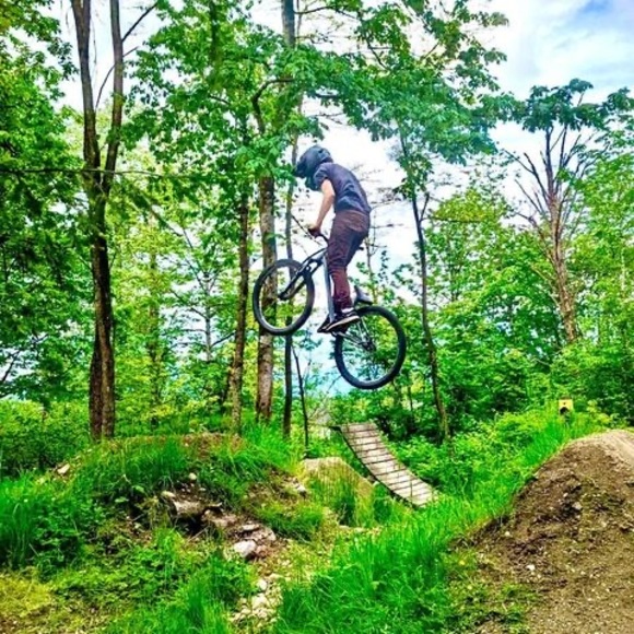 Meet your Posher, Dyson - Picture 1 of 1